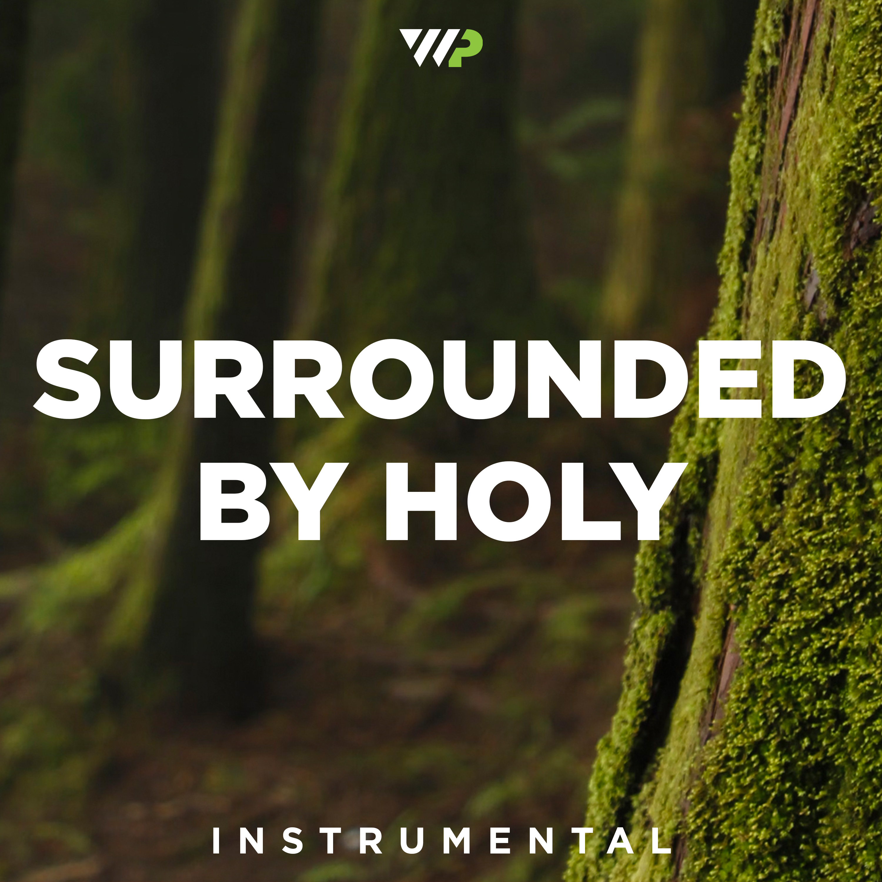 Surrounded By Holy cover artwork